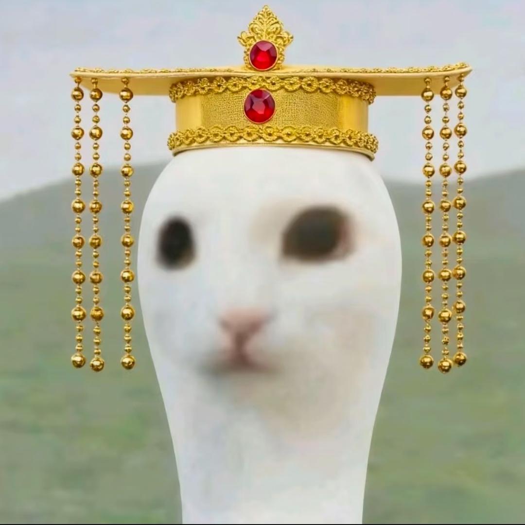 o米o米