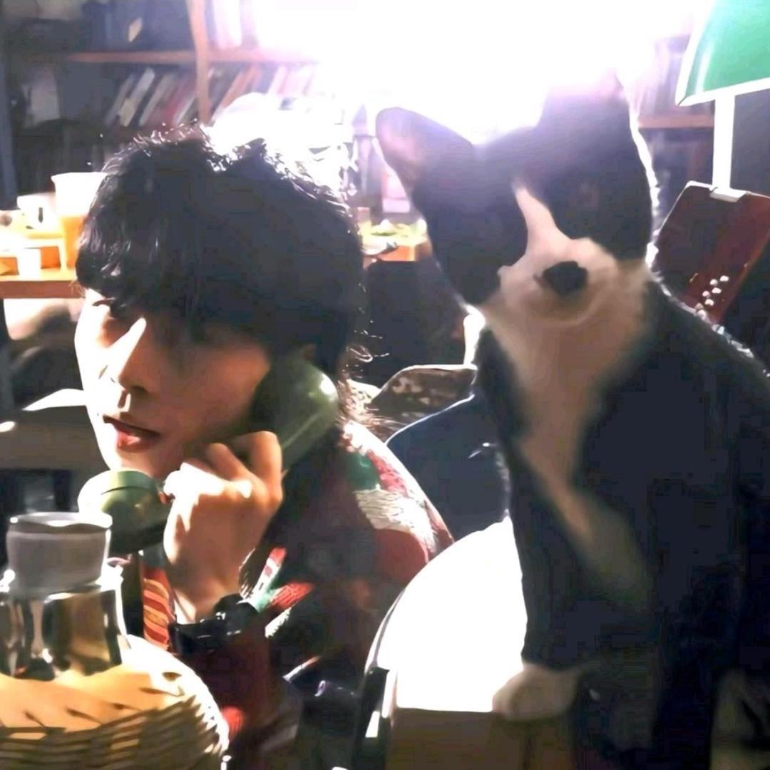 Camellia（山茶）