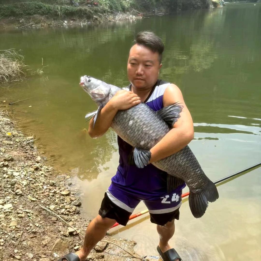 麒盘蛇
