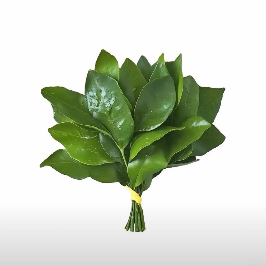 @一个快乐的人