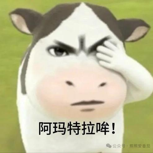 从来没对过