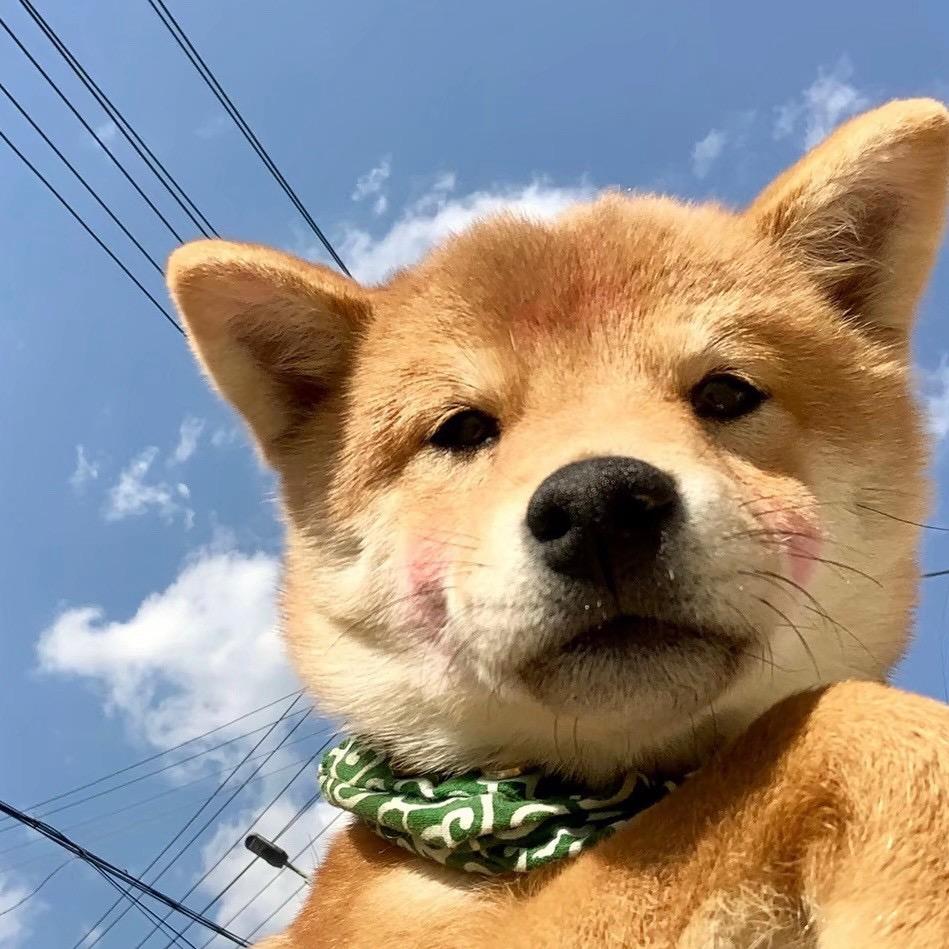 Y