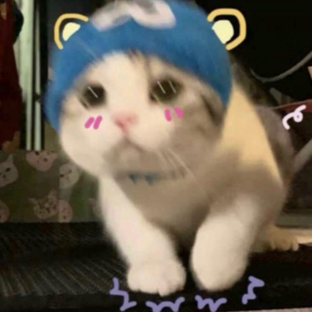 奇怪土豆