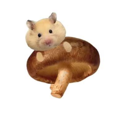 钛合金doki