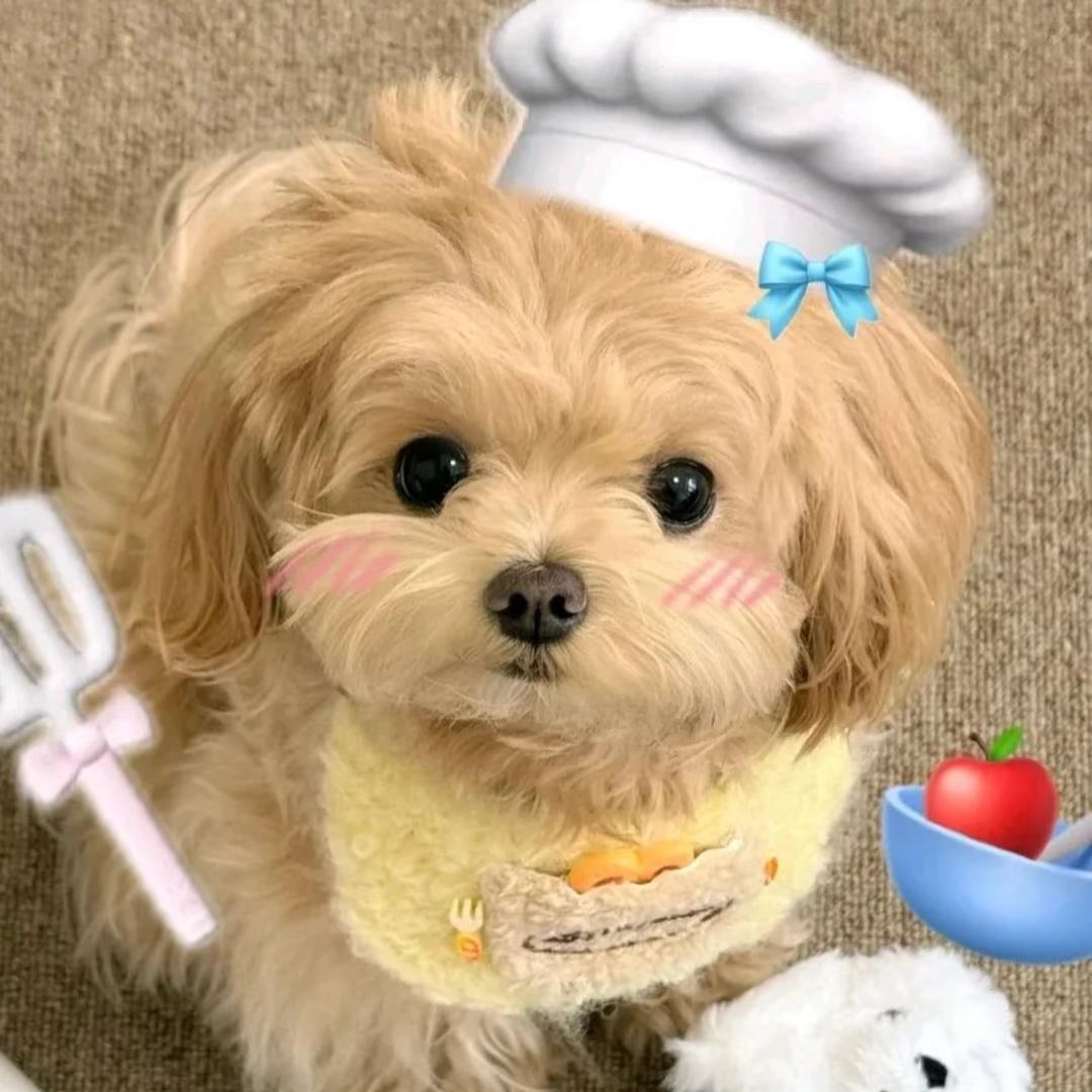 朵朵雯家居服饰店