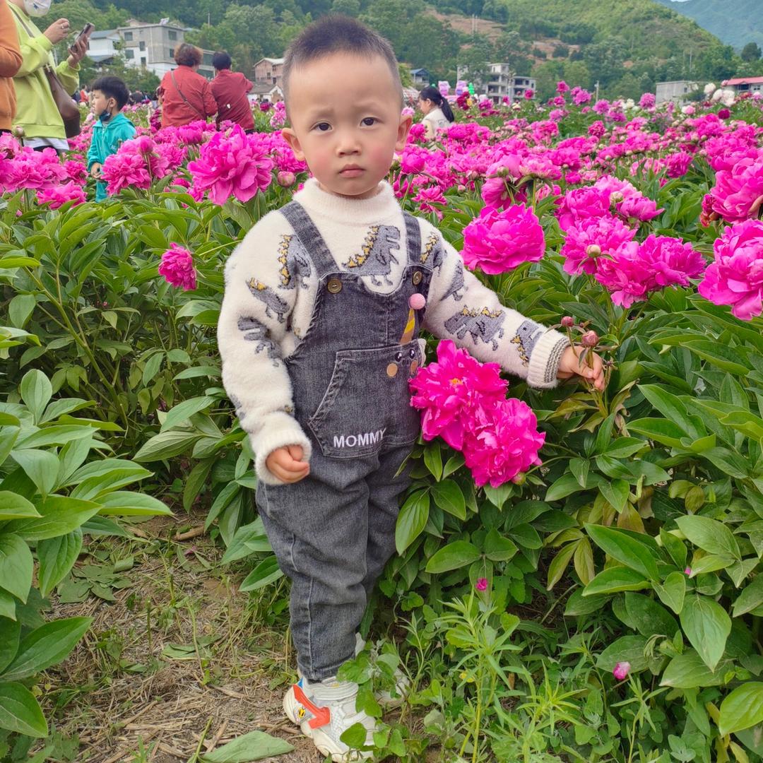努力生活的妮儿