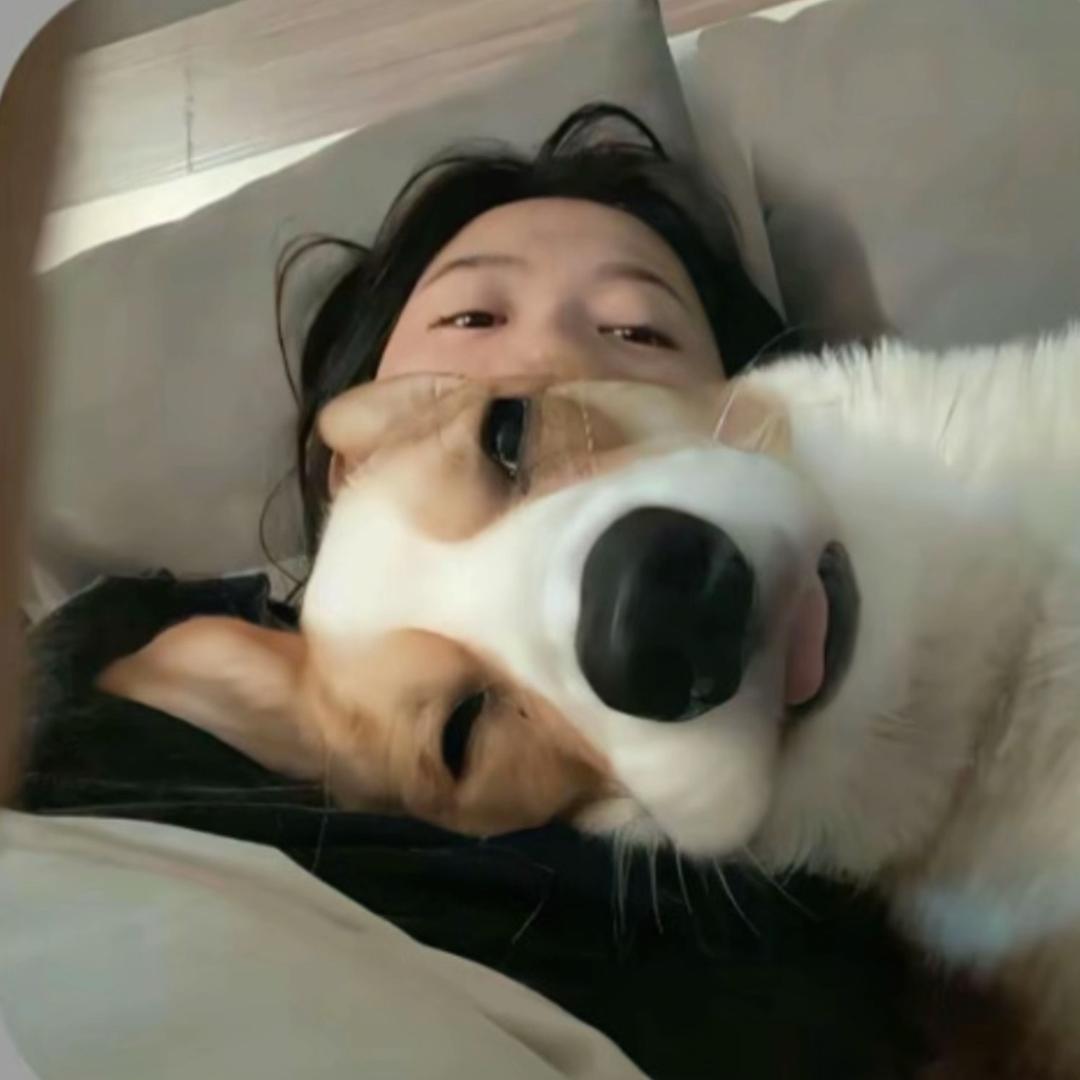 爱吃土豆炖茄子