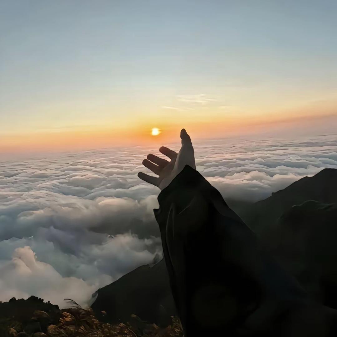 2019灿烂的小土豆🥔