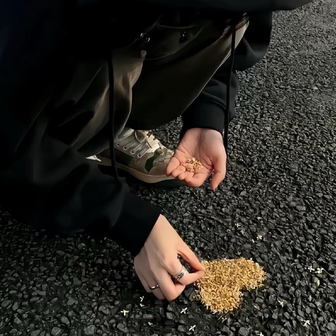 小.胡.