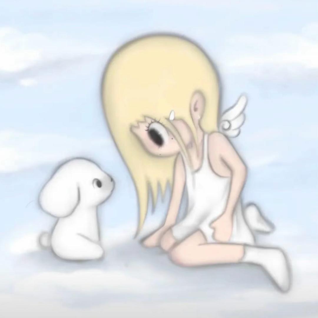 小小鲨˚°