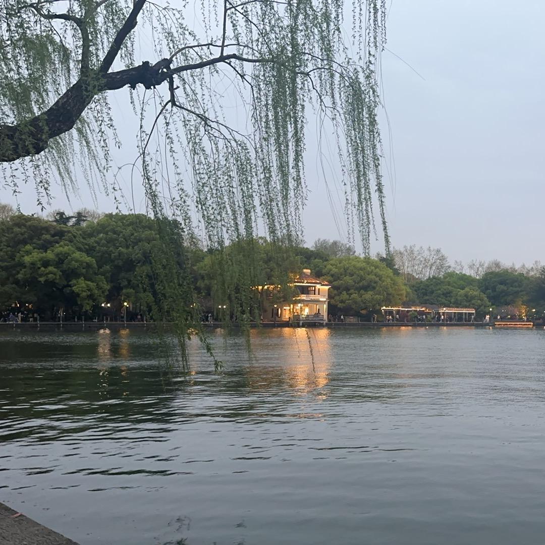 陈文强