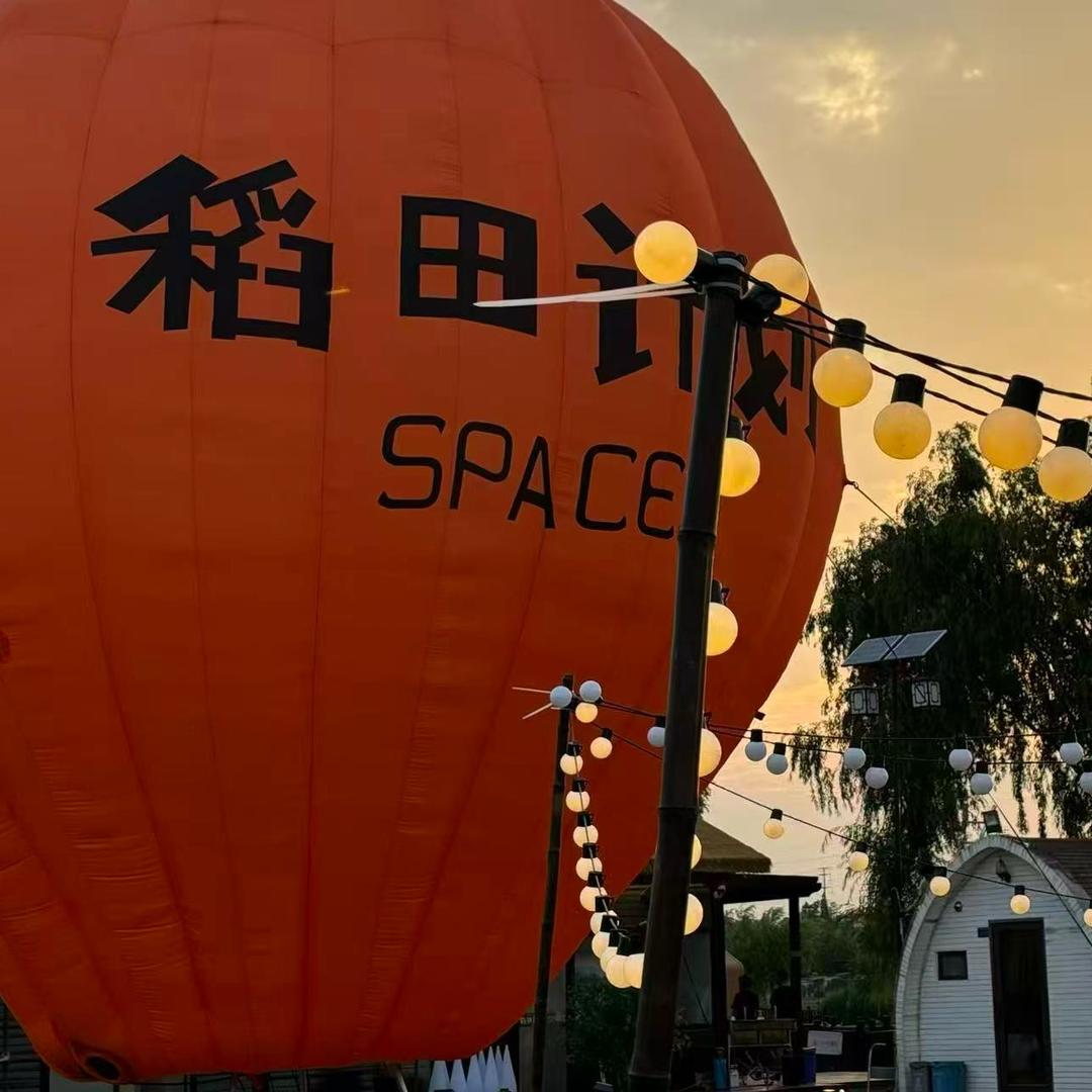 稻田计划小青