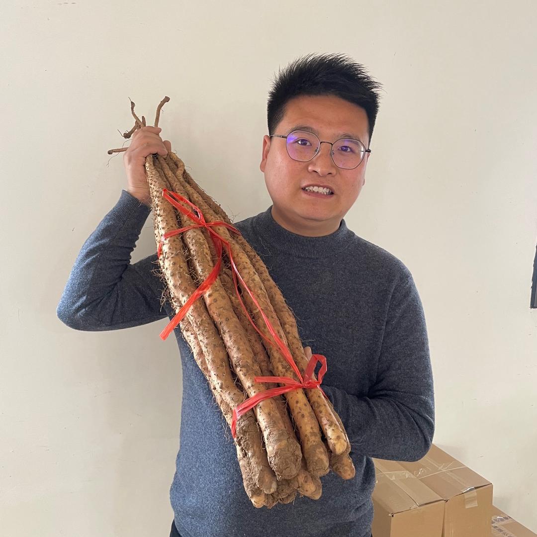 怀小童山药地黄（中医师承中）