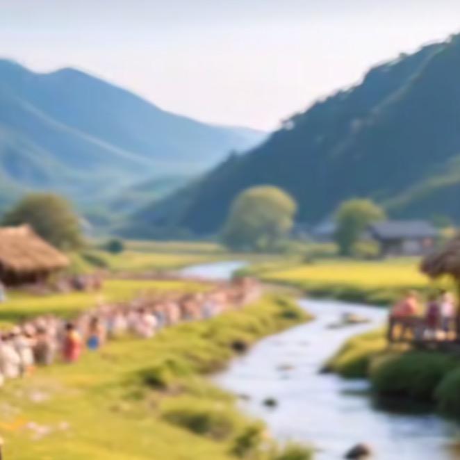 似锦岁岁
