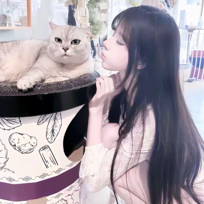 些许笨郁心事