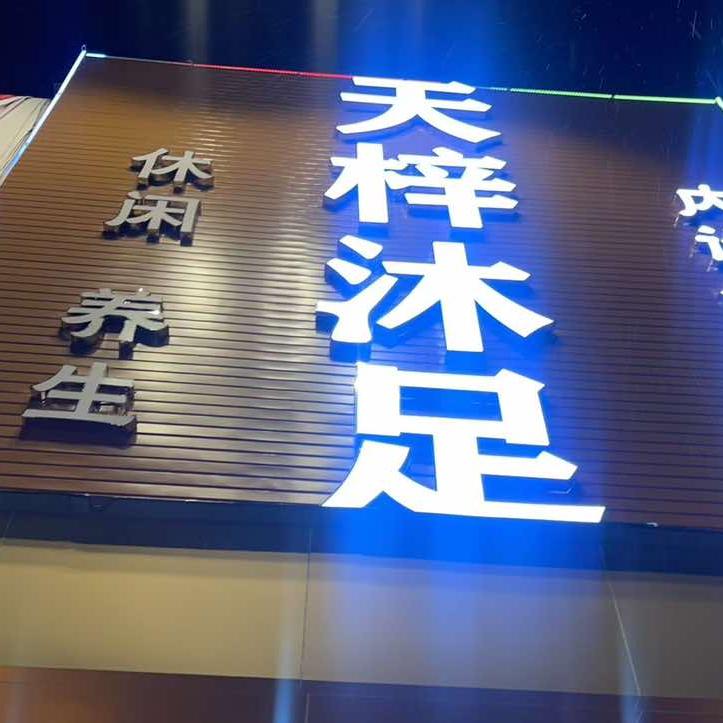 天梓801
