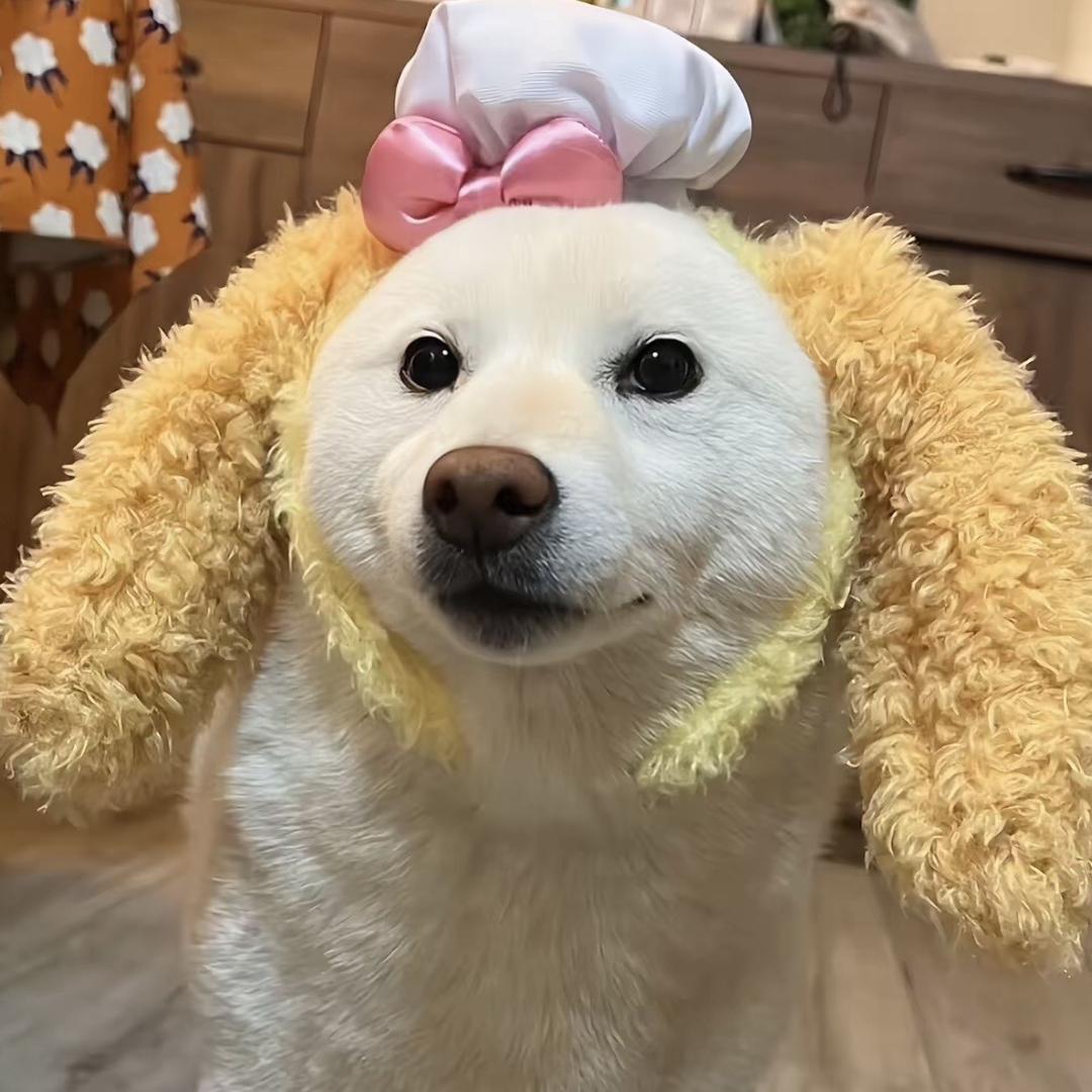 卡夫卡箱包严选店