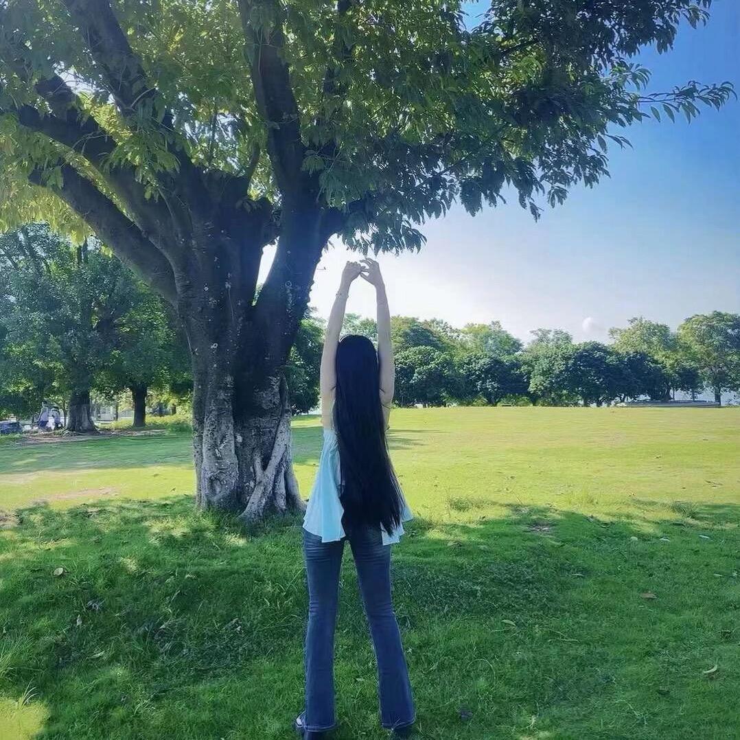 🌻向日葵