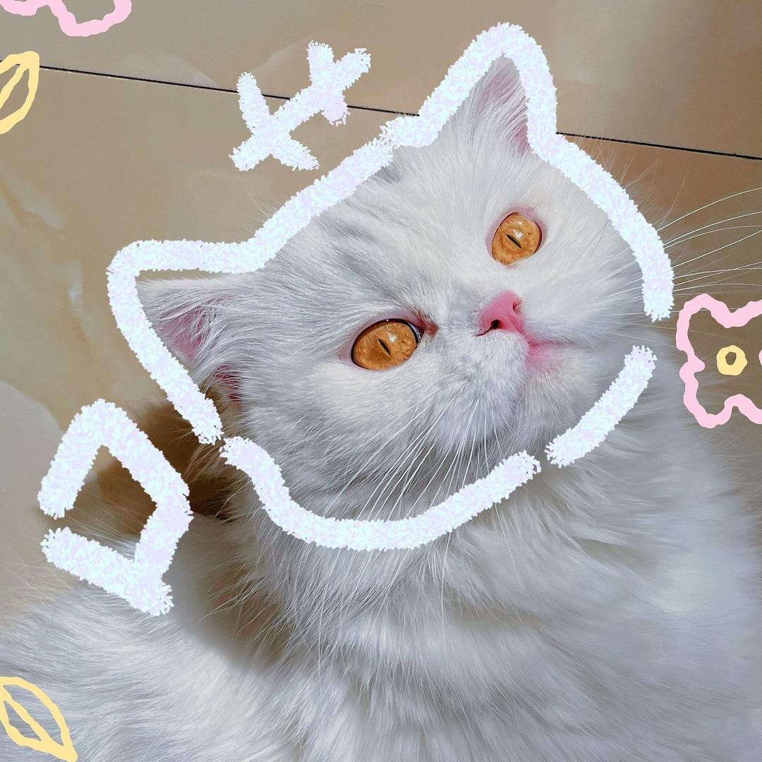 多•芬奇