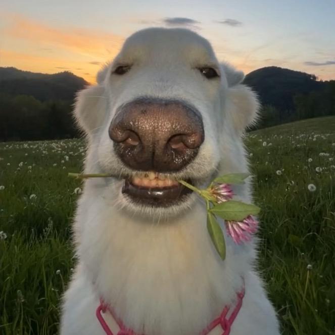 睡觉的时候不困