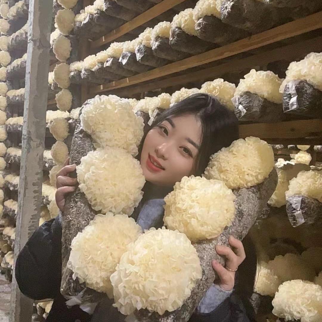 银耳菇娘～敏敏