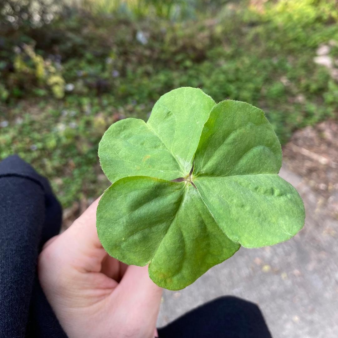 那就学好英语吧