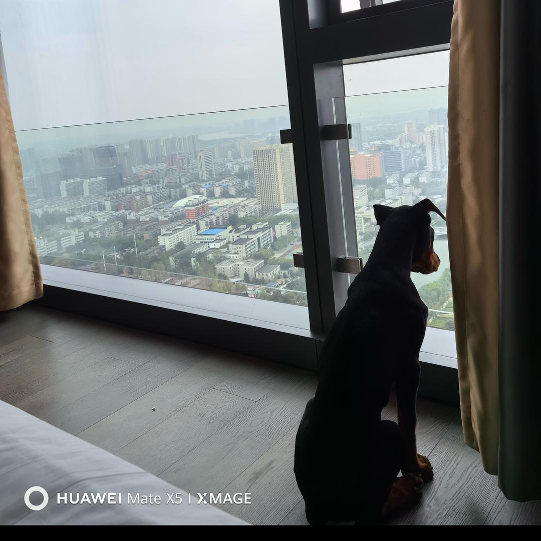 惠儿.👑
