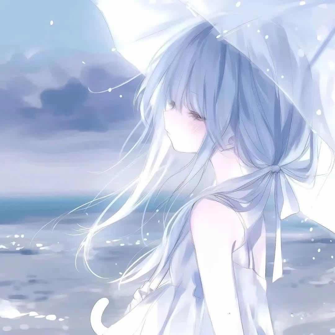 玫瑰