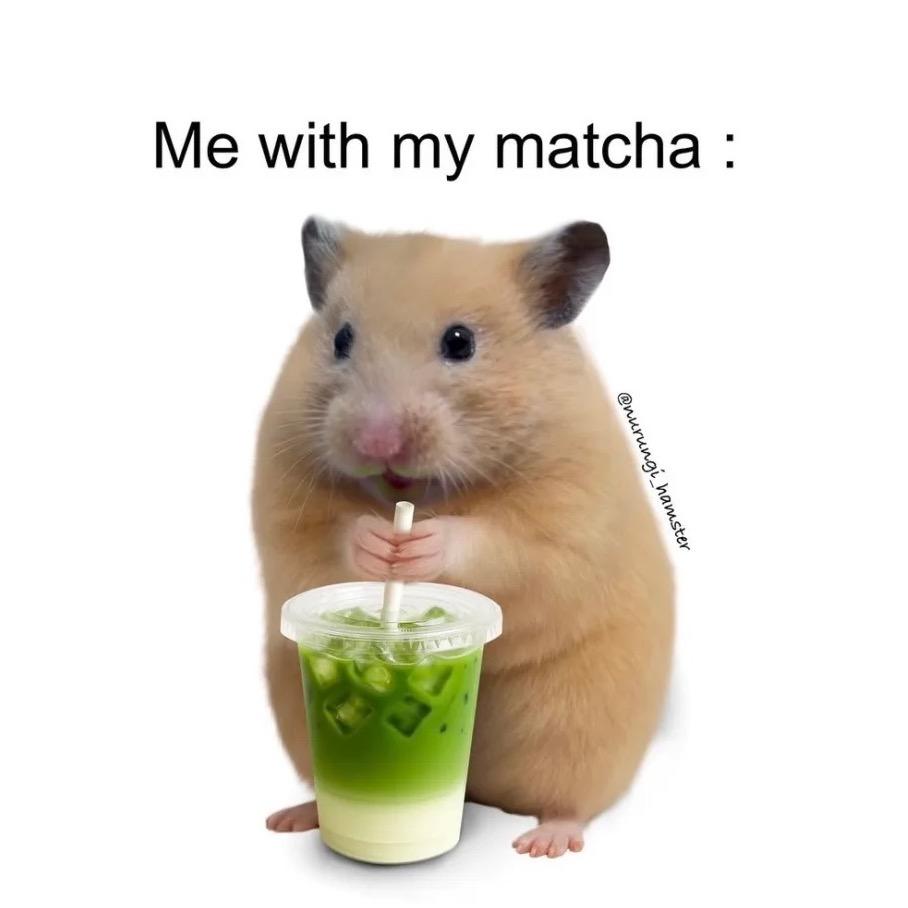 人参和醋不相逢