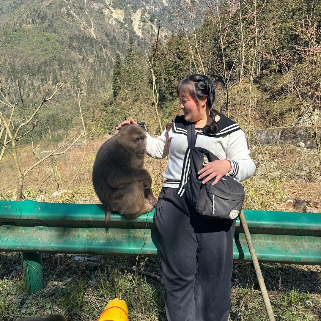 龙池山大王杨羊