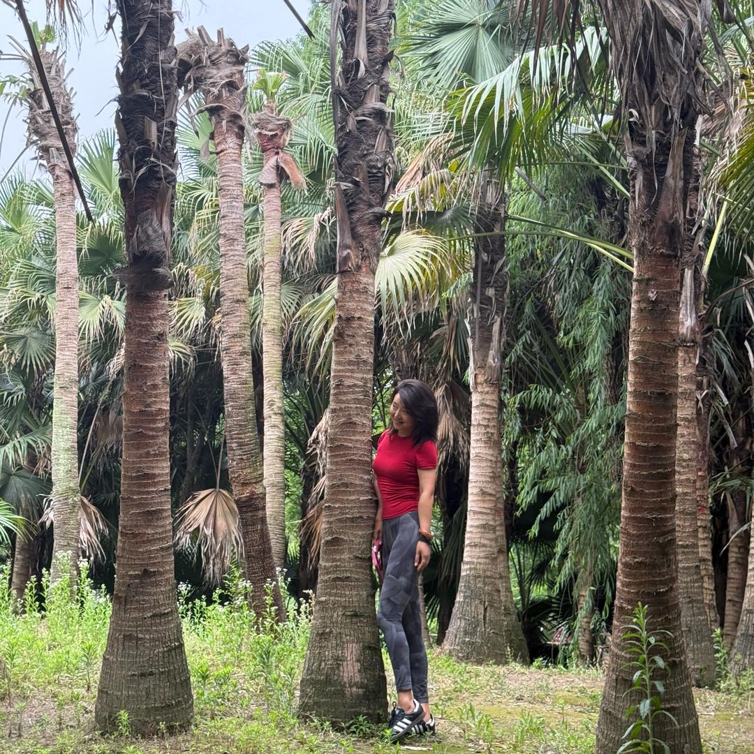 全家福米线(科华路店)官方号