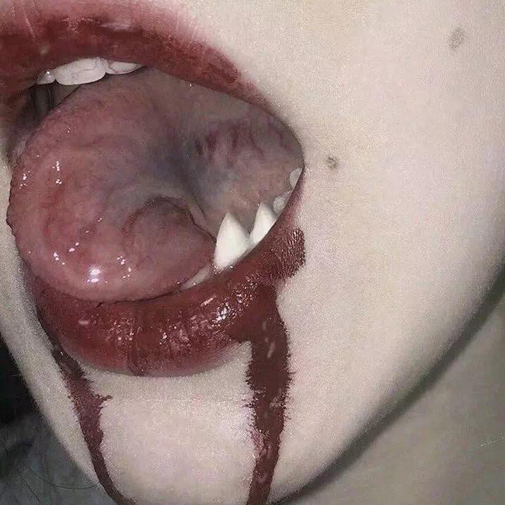 頭骨收藏家