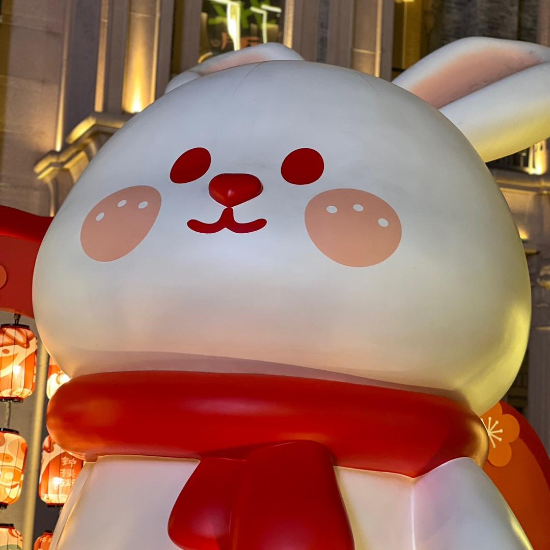 专业藕片打孔兔师傅