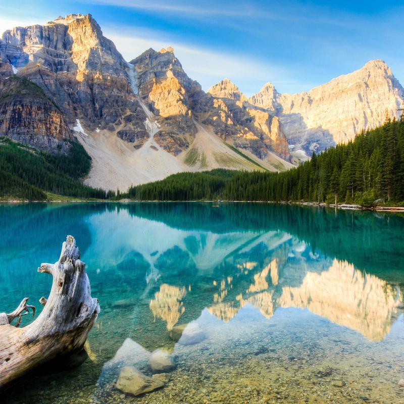 原味火腿肠加工店