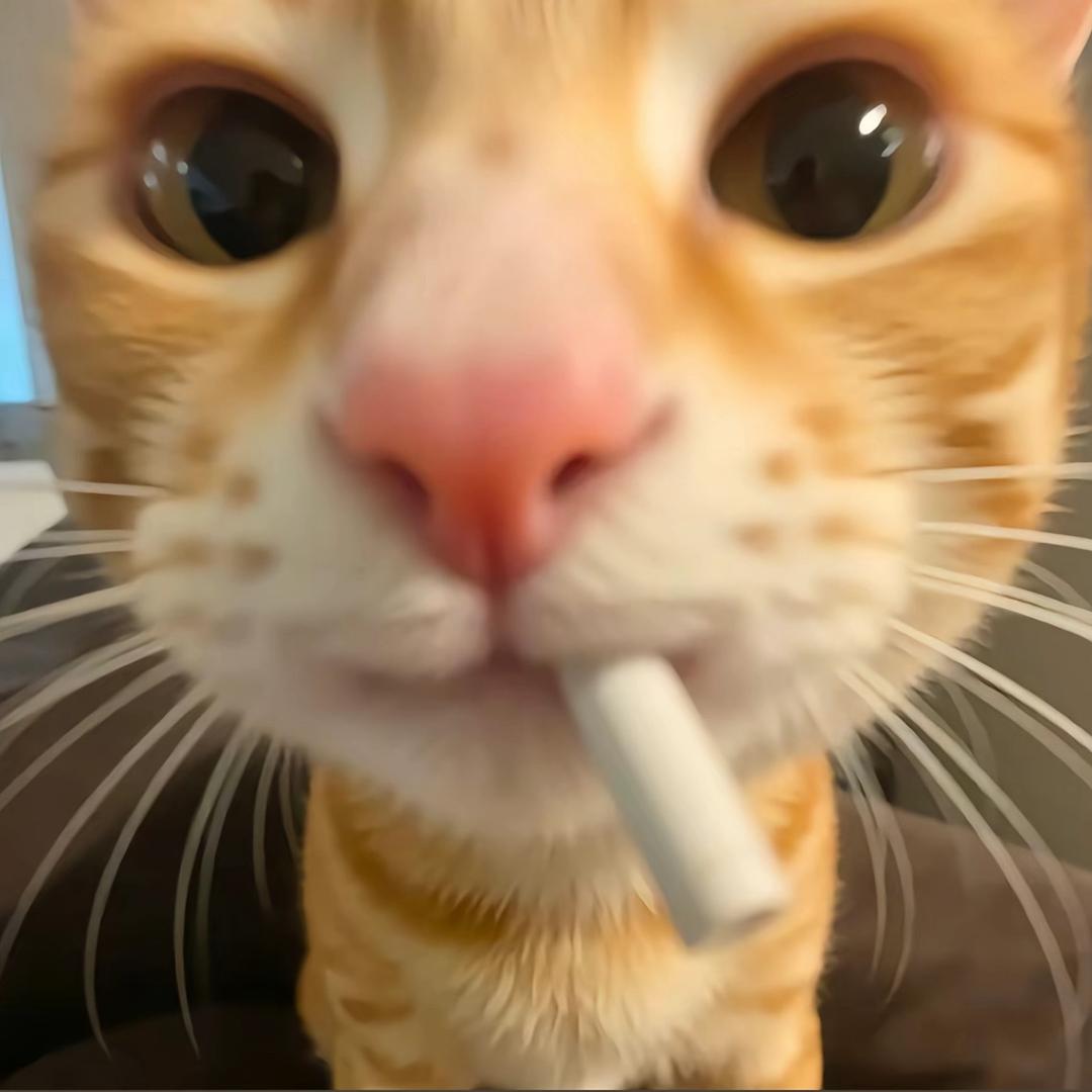 冬伈