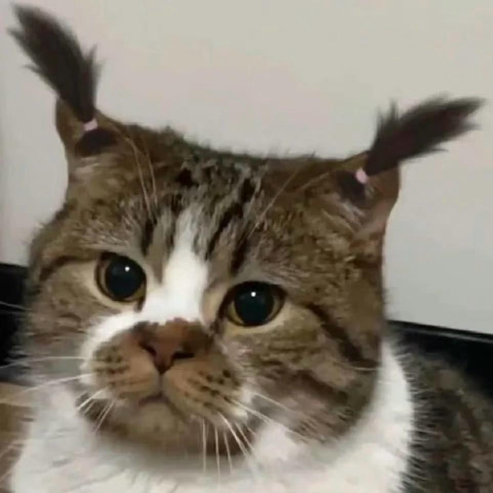 葵葵～