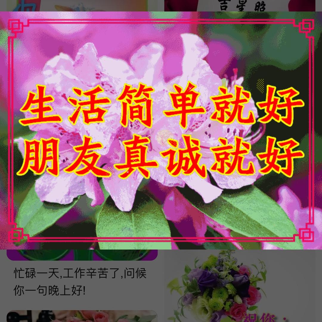 懂我不言