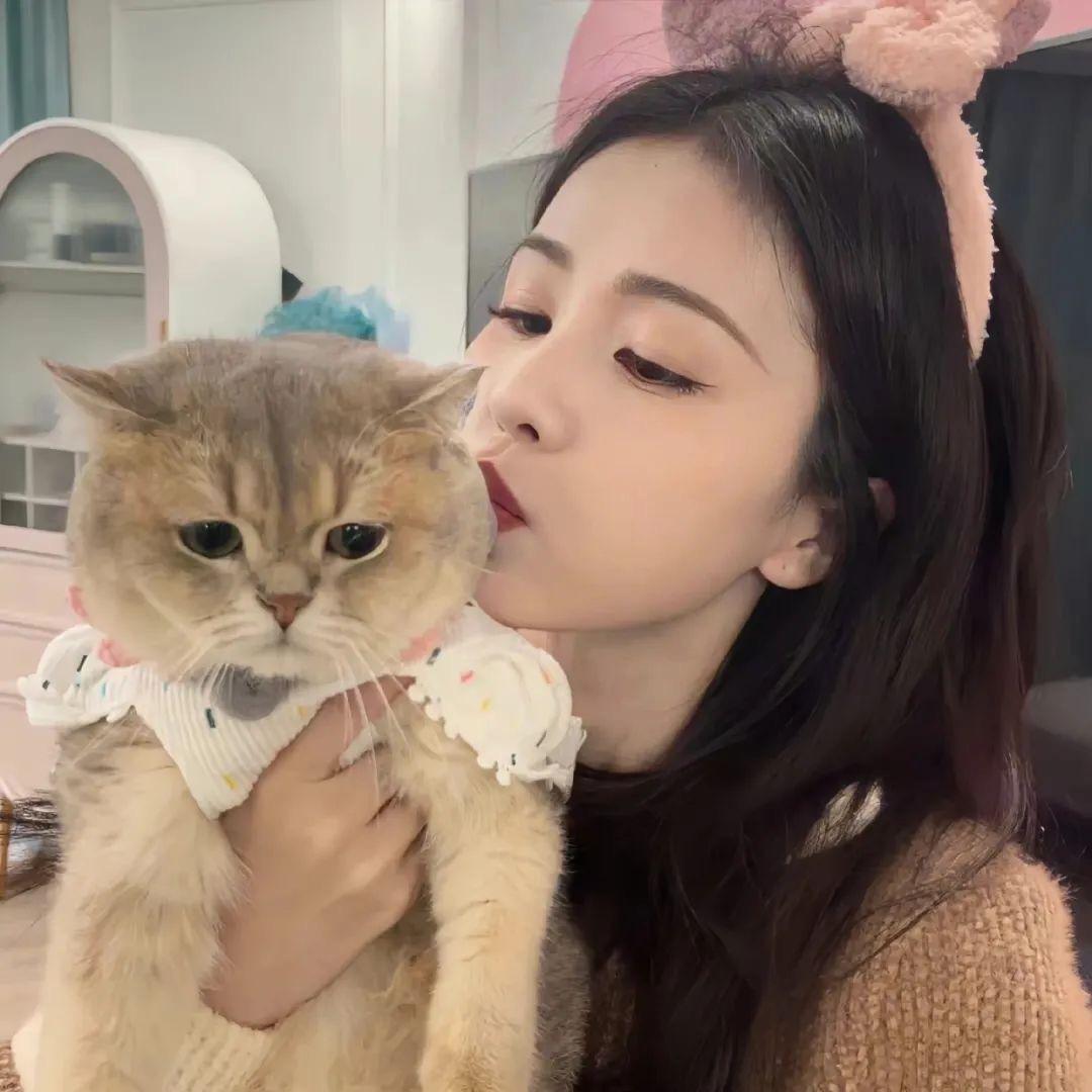 鹿鹿美壳