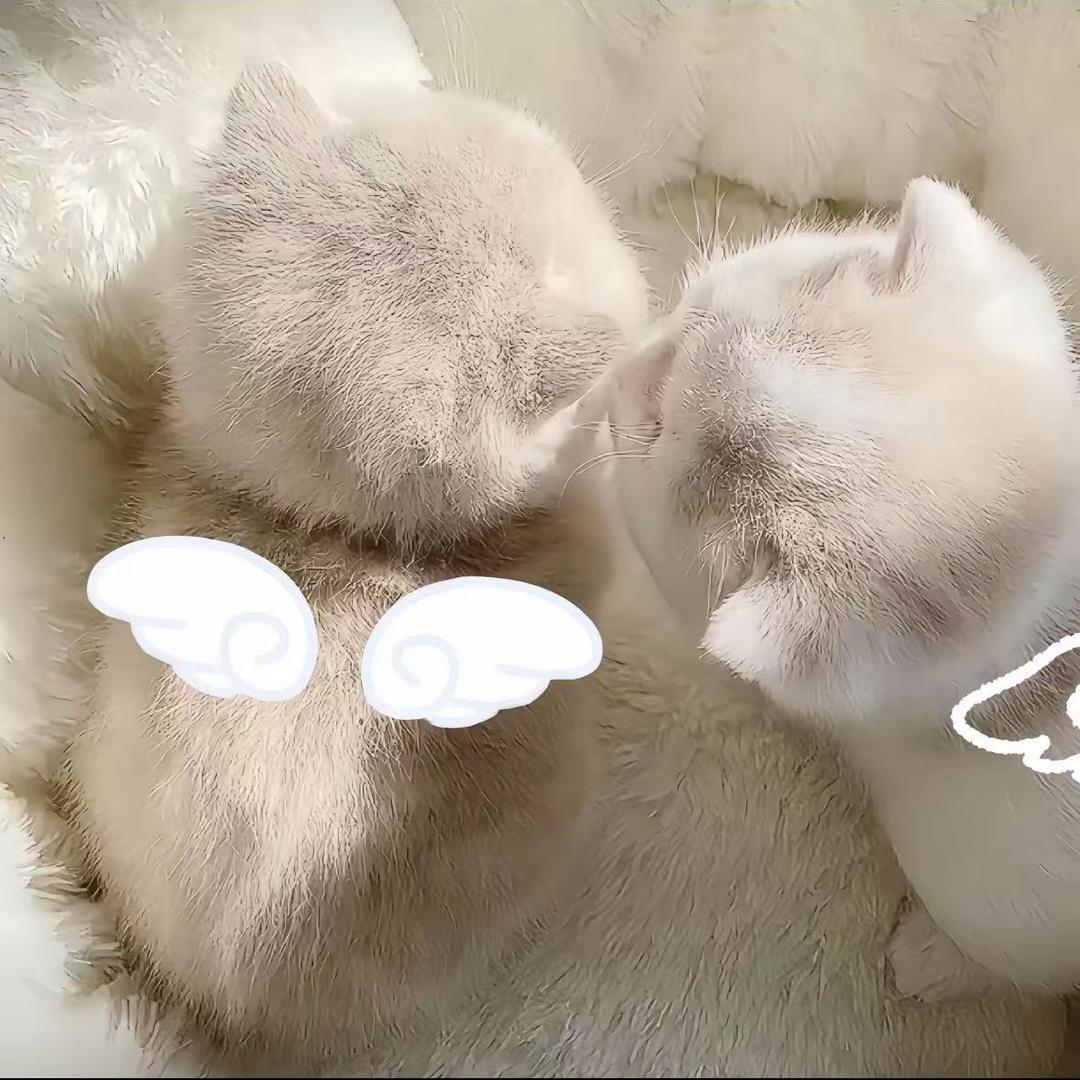 第七个下雨天