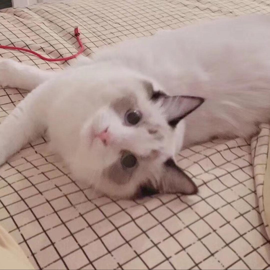 圆○