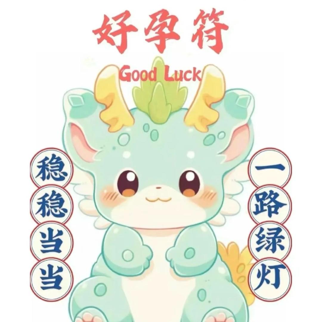 孕期穿搭《好孕衣橱孕时光》