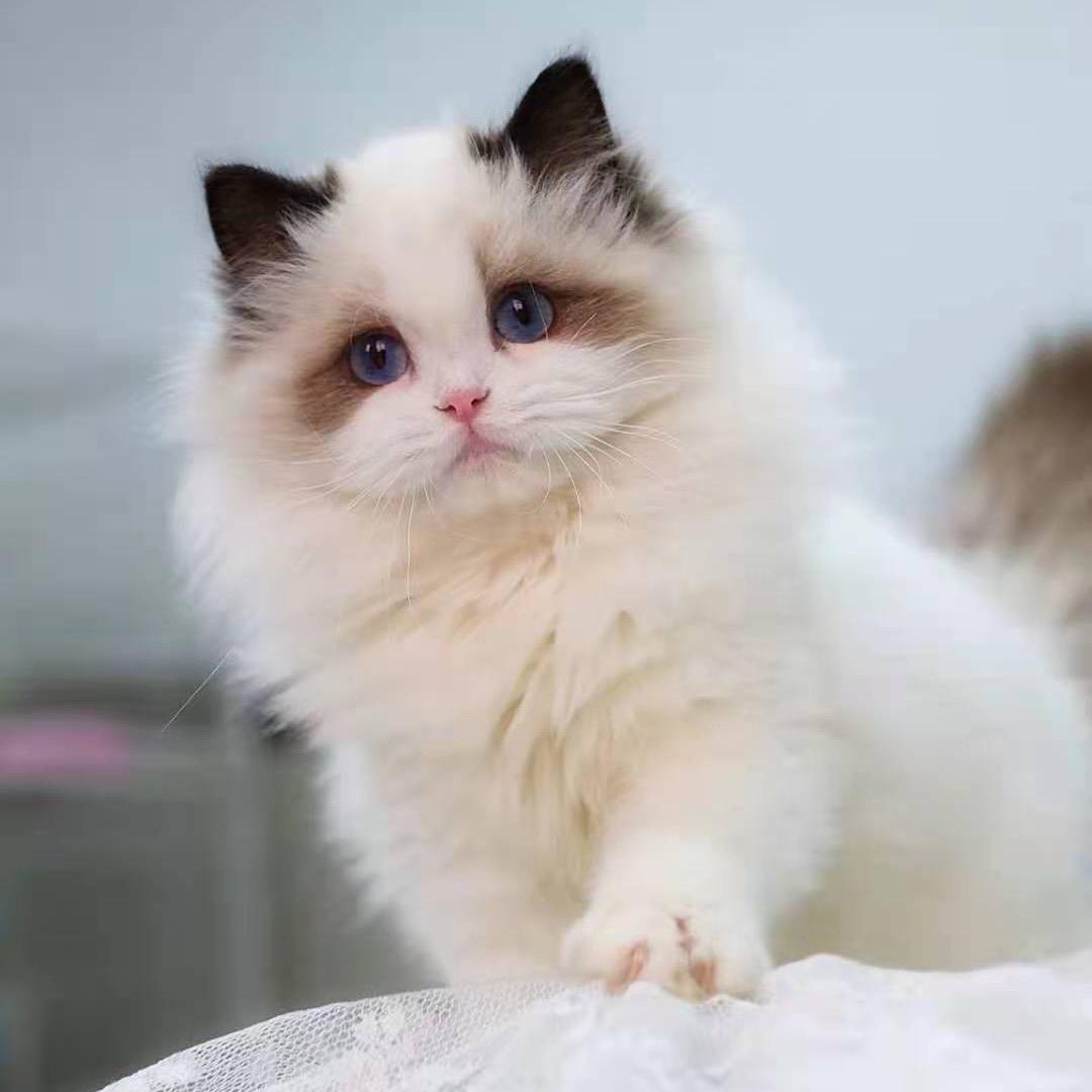 啥也不是，是啥！