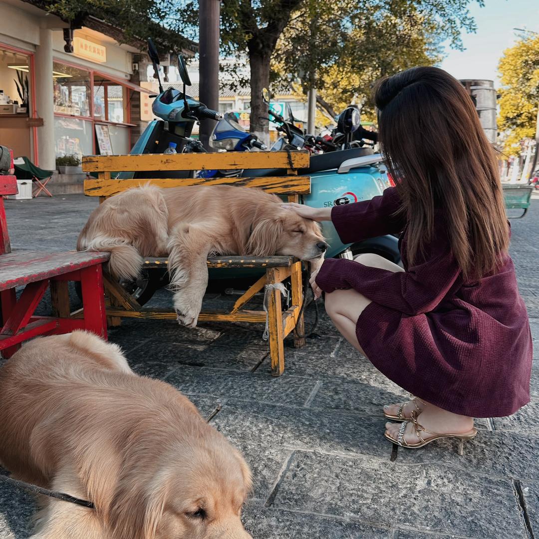 好好_