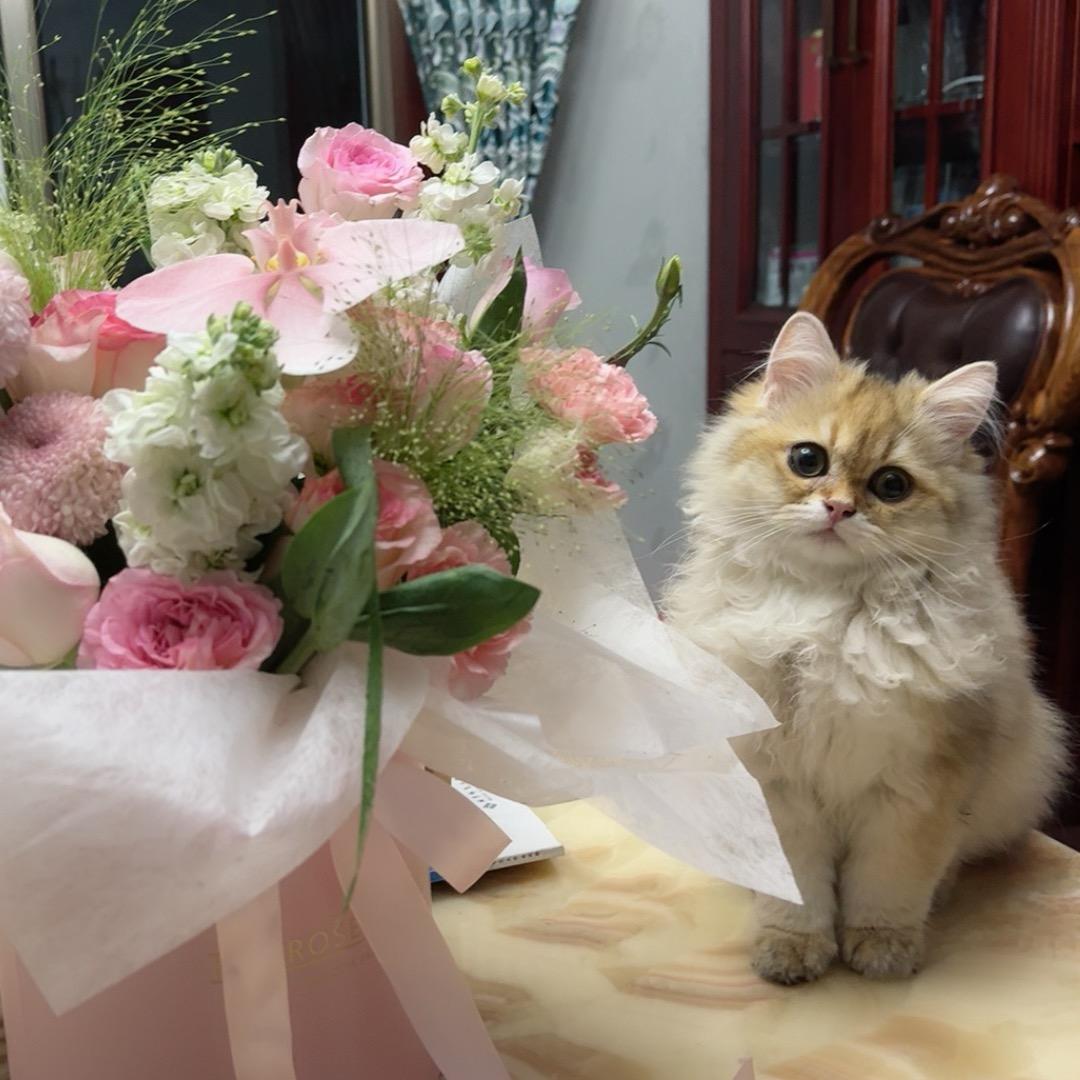 💐德缘💐