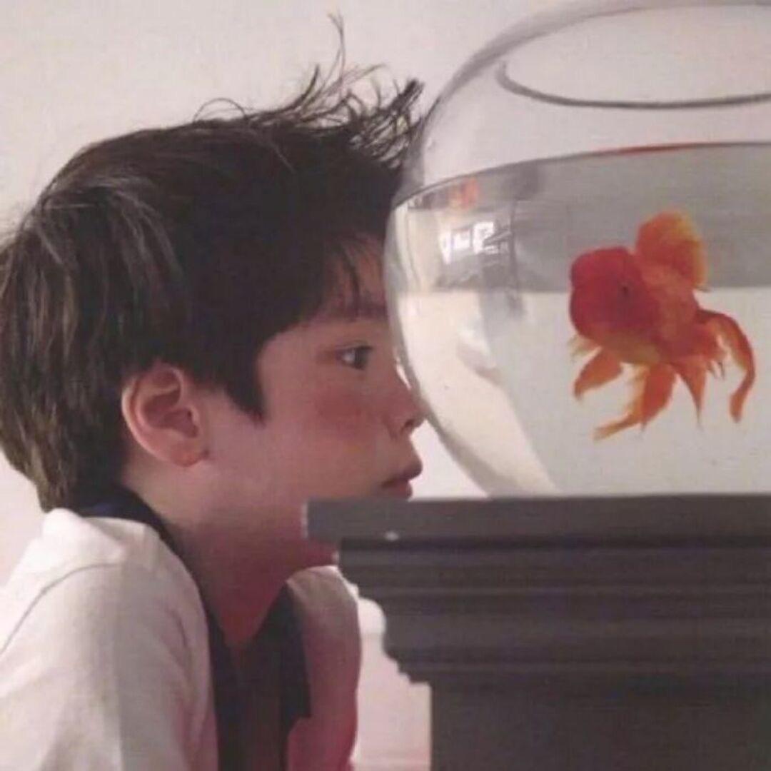 讲不完的故事