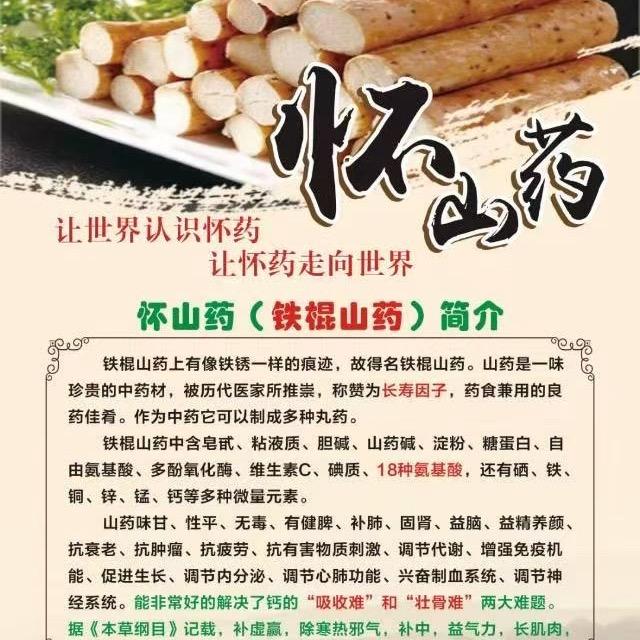 舍子小跟班