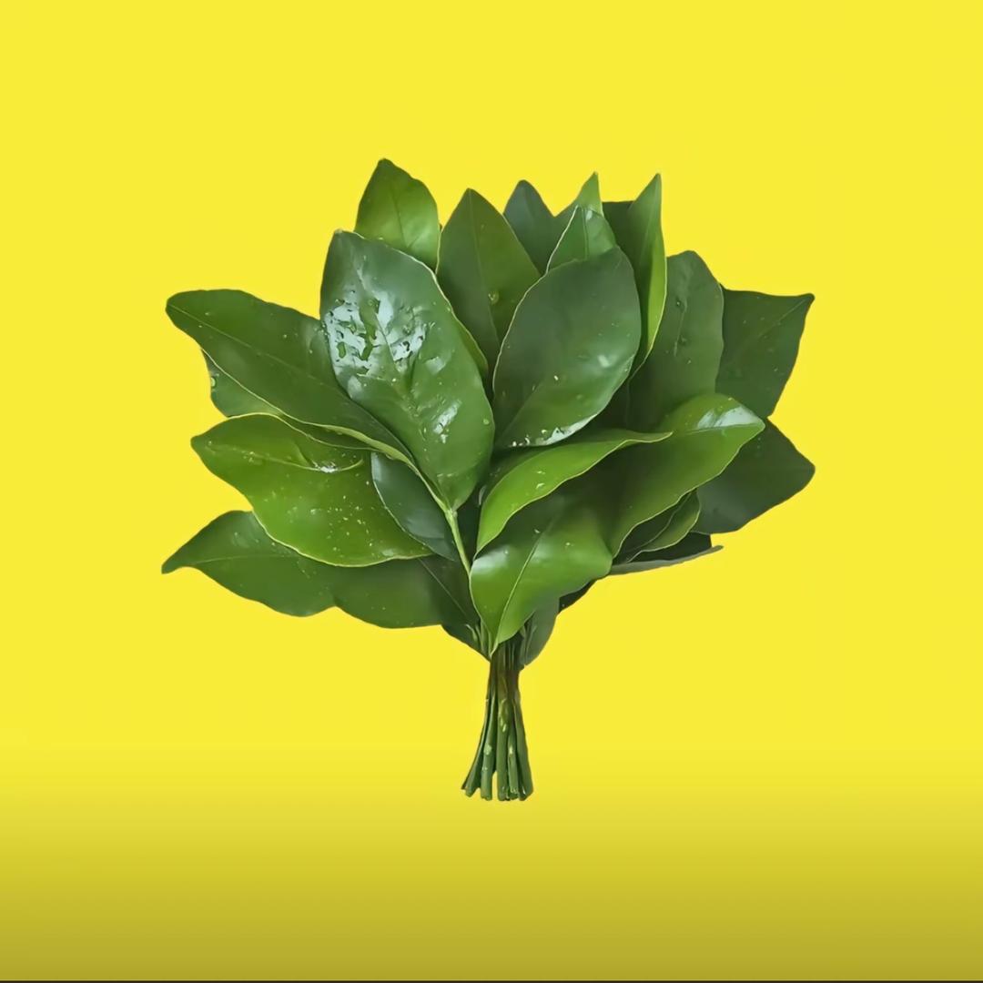 乌市美容养生找嘉佳🌹