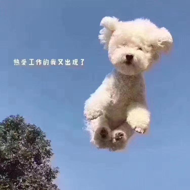 我做大头梦
