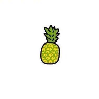 🍍菠萝头