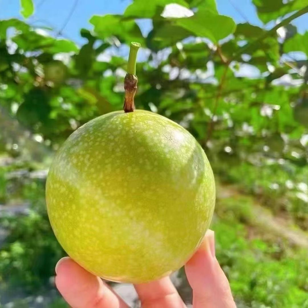 自然甄选农产品